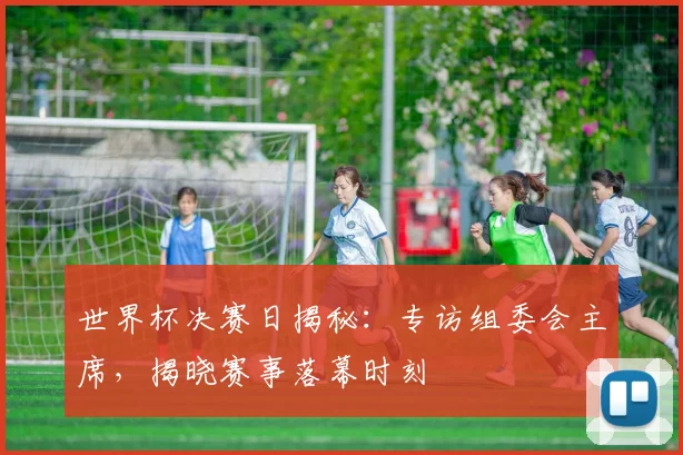 世界杯决赛日揭秘：专访组委会主席，揭晓赛事落幕时刻