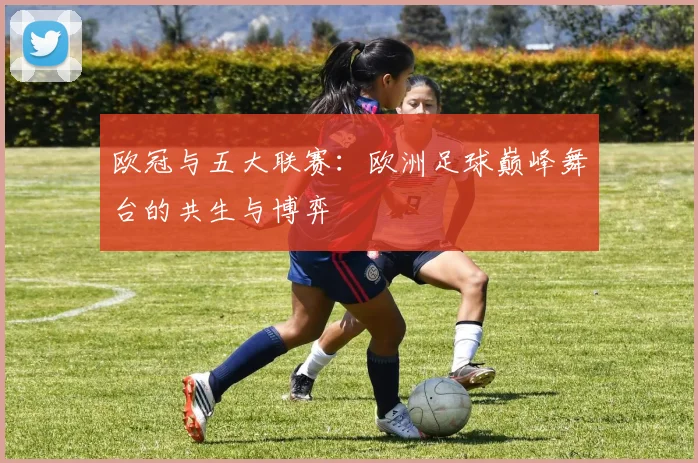欧冠与五大联赛：欧洲足球巅峰舞台的共生与博弈